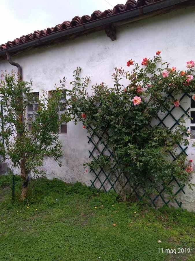 Bed and Breakfast Beb Infamiglia Cascinette Екстер'єр фото